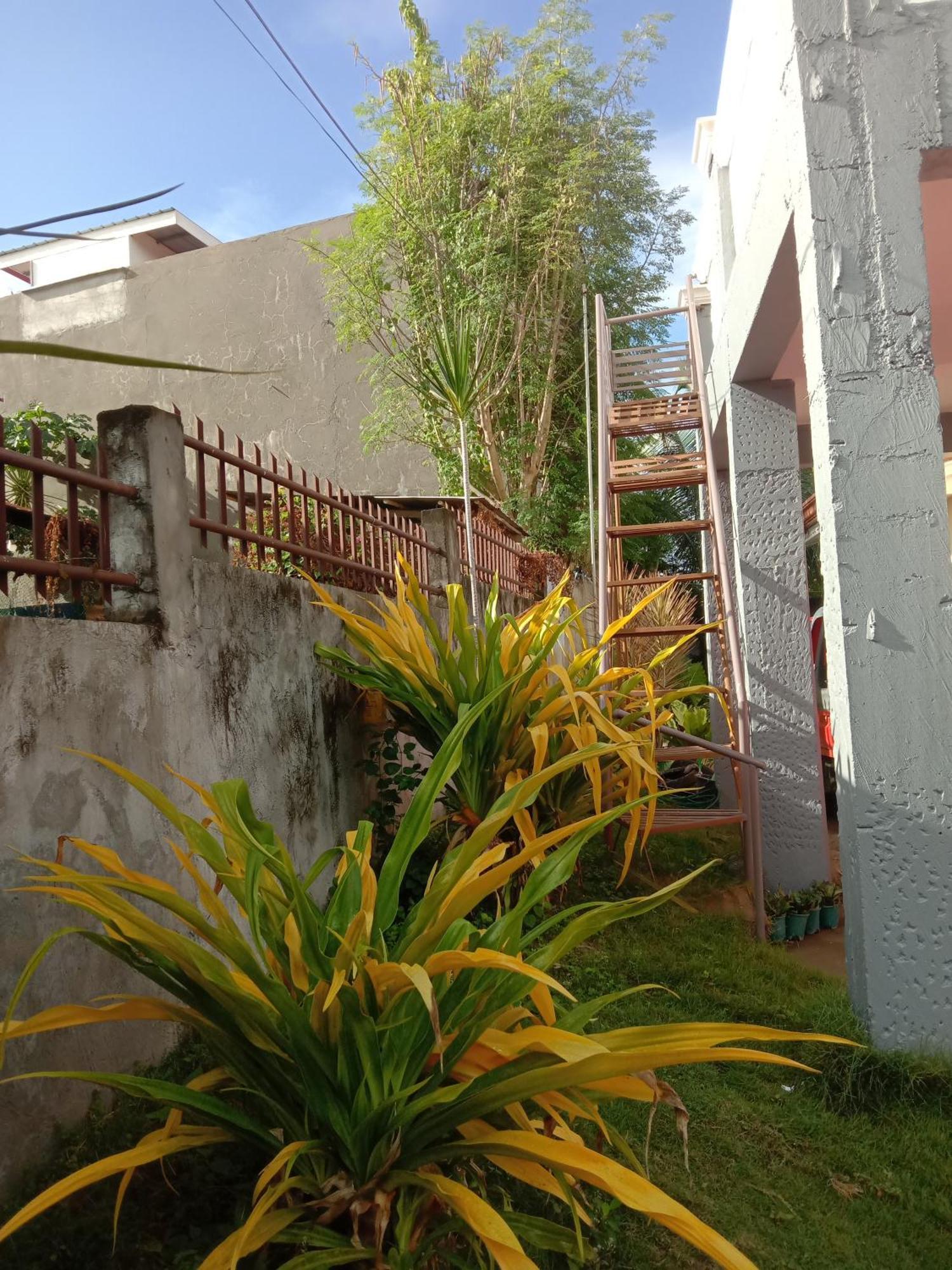 סאן ג'ואן Friz Love Room Rental מראה חיצוני תמונה